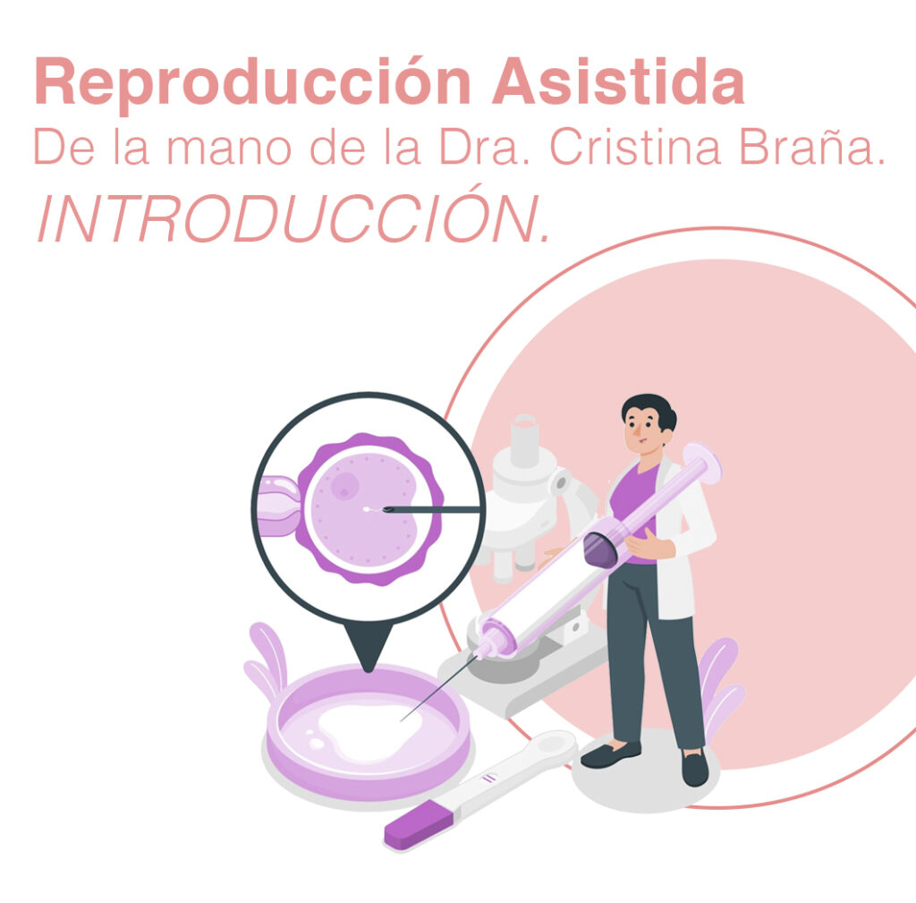 Reproducción Asistida: Una guía integral para entender sus fundamentos y el ciclo menstrual