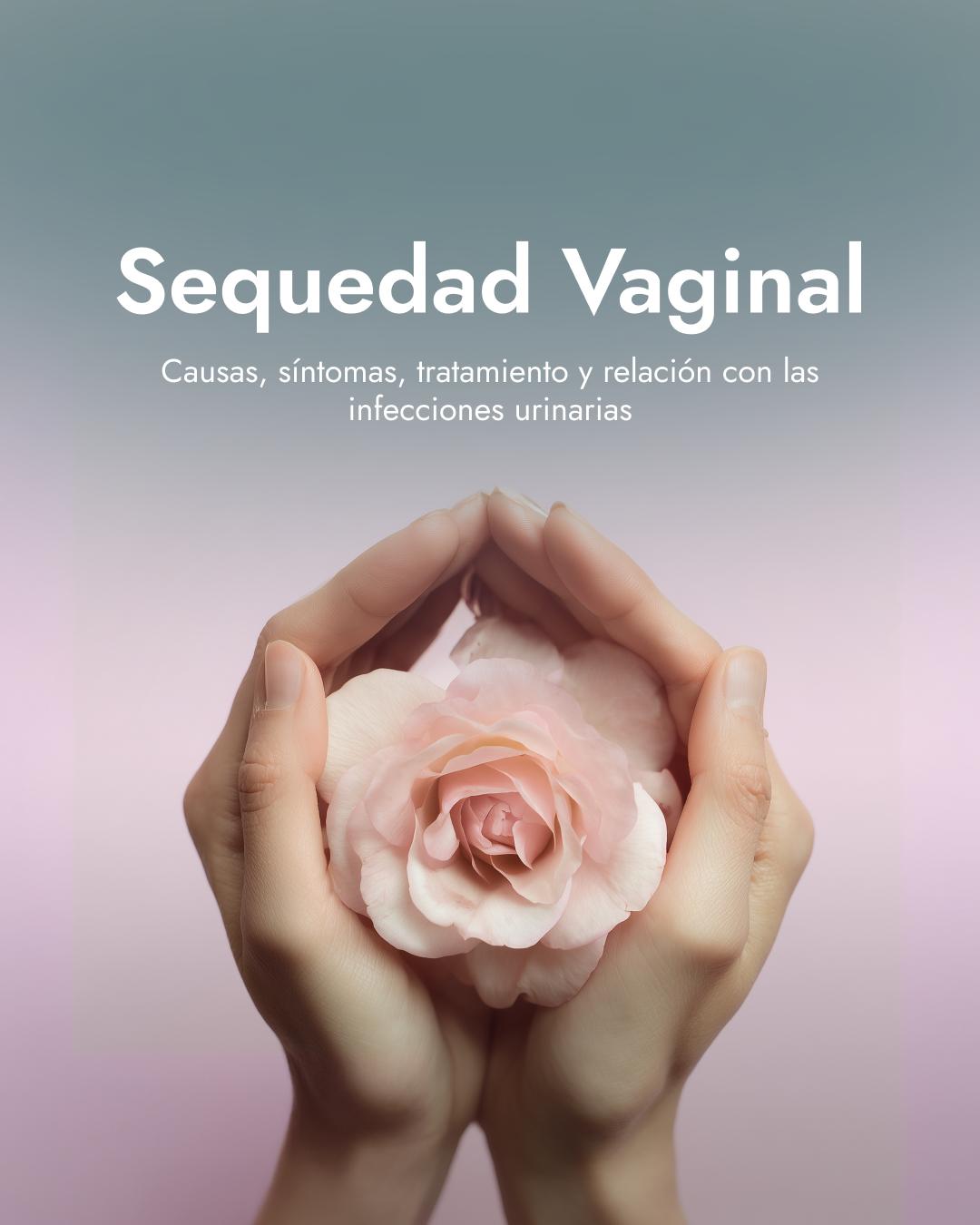 Sequedad vaginal: causas, síntomas, tratamiento y relación con las infecciones urinarias